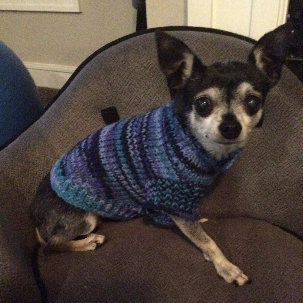 Boutique: Extra small/small hand knit dog sweater